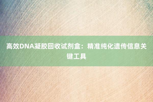 高效DNA凝胶回收试剂盒：精准纯化遗传信息关键工具